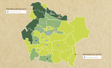 IX-REGION-DE-LA-ARAUCANIA@2x