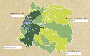 VII-REGION-DEL-MAULE@2x