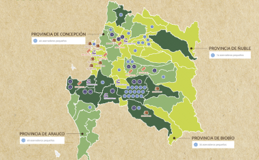 VIII-REGION-DEL-BIOBIO@2x