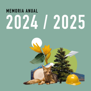 Memoria anual de Corma 2025