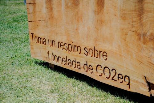 1-tonelada-de-carbono-3