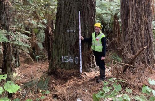 1 Investigación recursos forestales 5