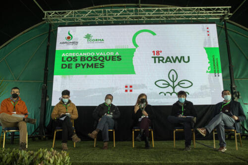 6 Trawu Forestal 2022