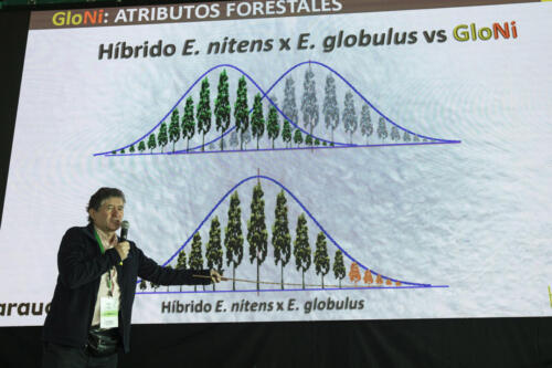 7 Trawu Forestal 2022