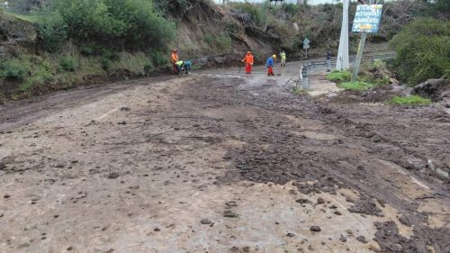 Apoyo-sector-forestal-10