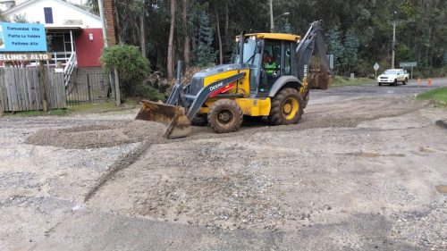 Apoyo-sector-forestal-11