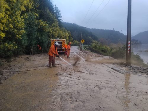 Apoyo-sector-forestal-4