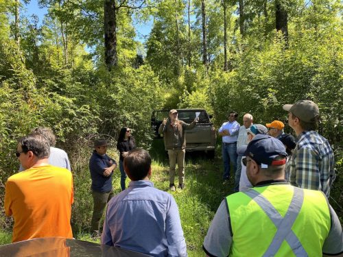 Bosque-Nativo-Villarrica-7