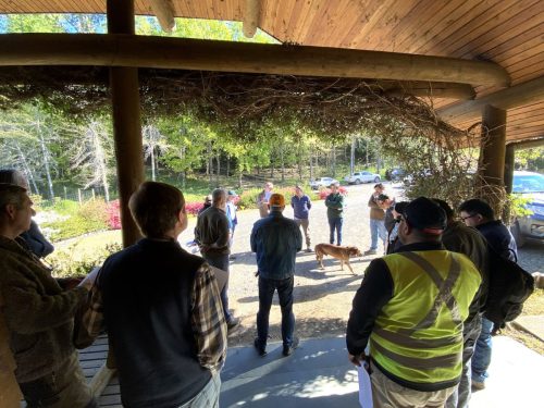 Bosque-Nativo-Villarrica-n