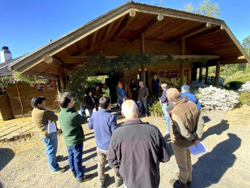 Bosque-Nativo-Villarrica-w