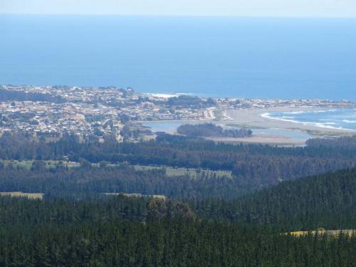 Bosque llegando a Pichilemu