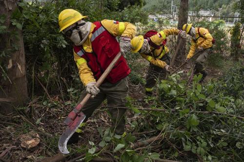 Brigadistas Forestales 2