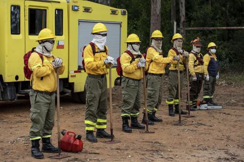 Brigadistas Forestales 3