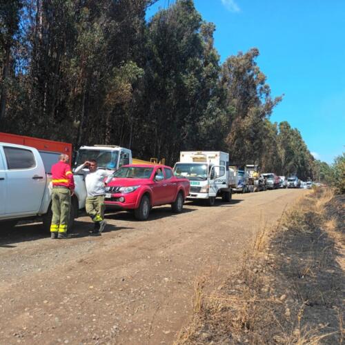 Brigadistas incendio Los Sauces 6