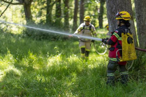 CAPACITACION-BOMBEROS 100