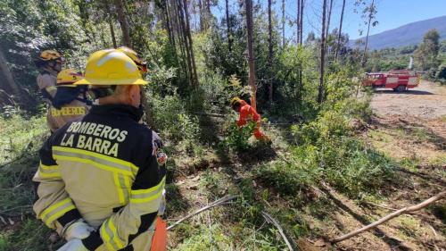 Capacitacion-Bomberos-Araucania-1