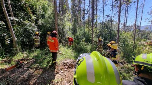 Capacitacion-Bomberos-Araucania-3