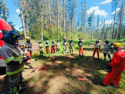 Capacitacion-Bomberos-Araucania-4