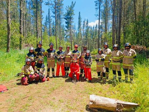 Capacitacion-Bomberos-Araucania-5