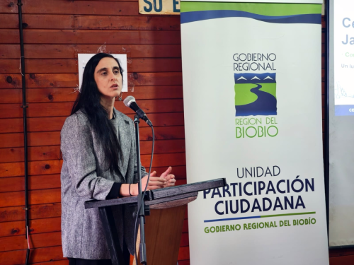Centro-Comunitario-Lirquen-3