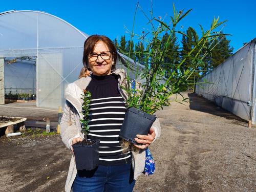 Corma-y-Conaf-donan-20-mil-plantas-nativas-a-pequenos-propietarios-del-Biobio-1 (1)