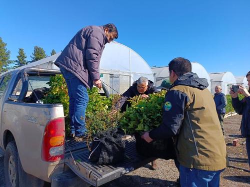 Corma-y-Conaf-donan-20-mil-plantas-nativas-a-pequenos-propietarios-del-Biobio-3