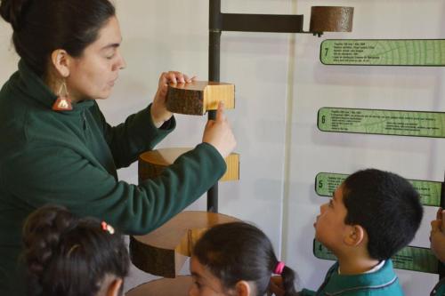 Corma -Participacion-femenina-en-el-sector-forestal-alcanza-el-17-1