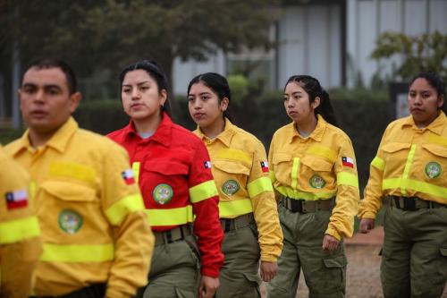 DIA-DEL-BRIGADISTA02-FORESTAL