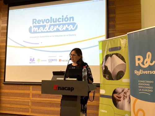 Directora-de-Corfo-Nuble-Macarena-Davila