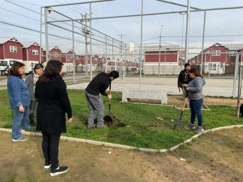 Donacion-plantas-nativas-Labranza-1