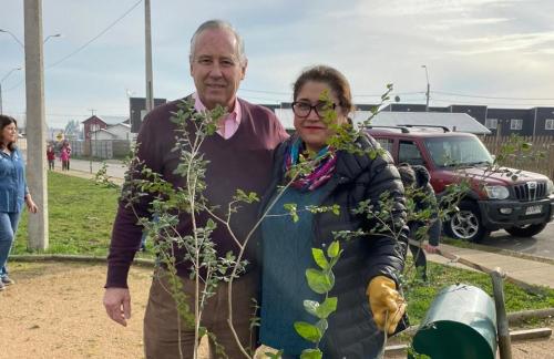 Donacion-plantas-nativas-Labranza-2