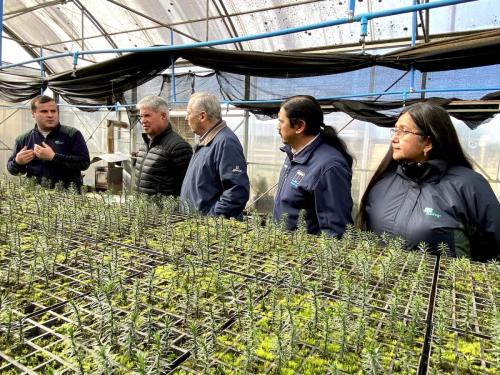 Entrega-Plantas-Corma-Conaf-1