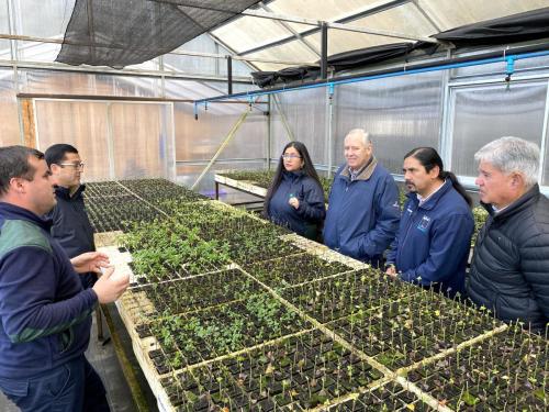 Entrega-Plantas-Corma-Conaf-3