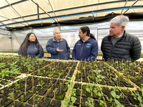 Entrega-Plantas-Corma-Conaf-4