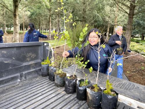 Entrega-Plantas-Corma-Conaf-7