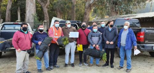 Entrega de plantas 1