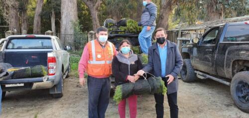 Entrega de plantas 10