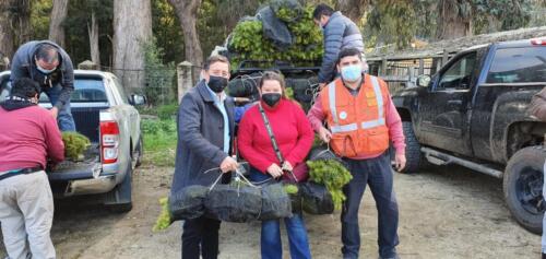 Entrega de plantas 11