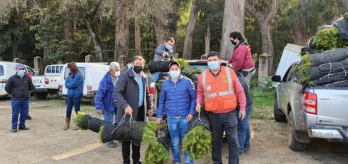 Entrega de plantas 13