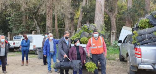 Entrega de plantas 14