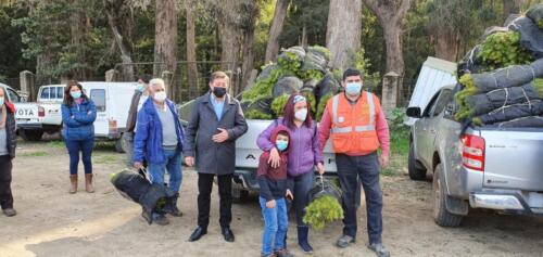 Entrega de plantas 16