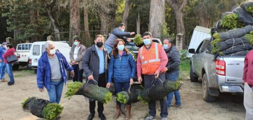 Entrega de plantas 2