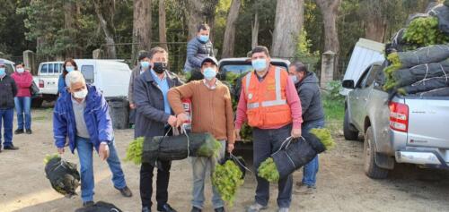 Entrega de plantas 3