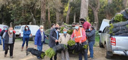 Entrega de plantas 7