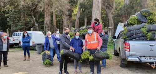 Entrega de plantas 8