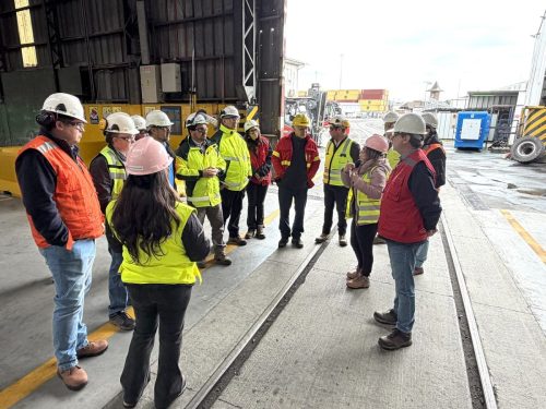 Extension-ferroviaria-Coronel-Lota-6