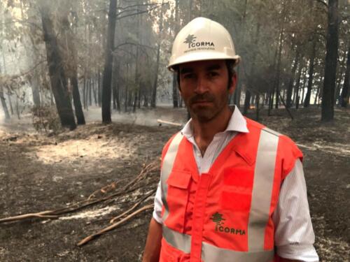 Fernando Illanes gerente Corma Biobío y Ñuble