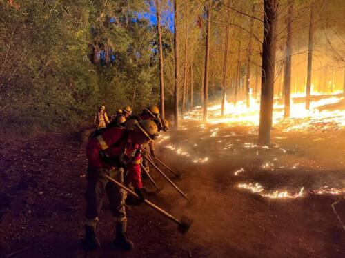 Incendio