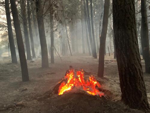 Incendio Quillón