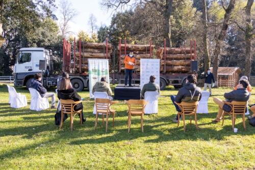 Lanzamiento Buena Madera Araucanía